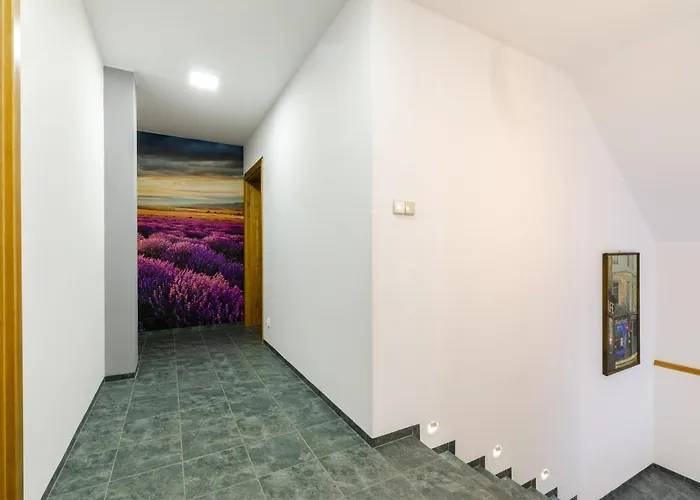 Lawendowy Zakatek 斯蒂格纳